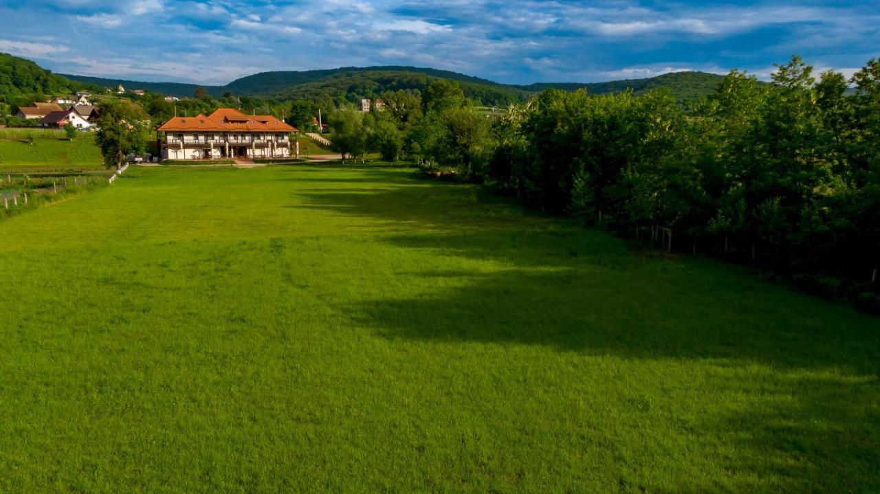 Pensiunea Sonnenhof Sighisoara Bagian luar foto